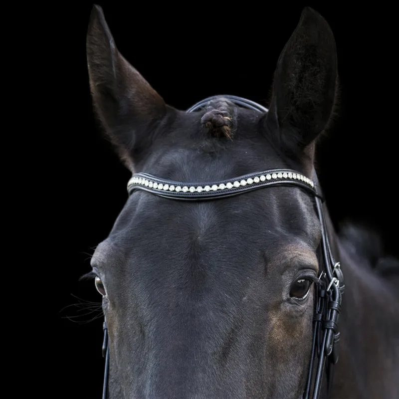 EcoRider Ecosoft Acclaim Bridle - Black-4