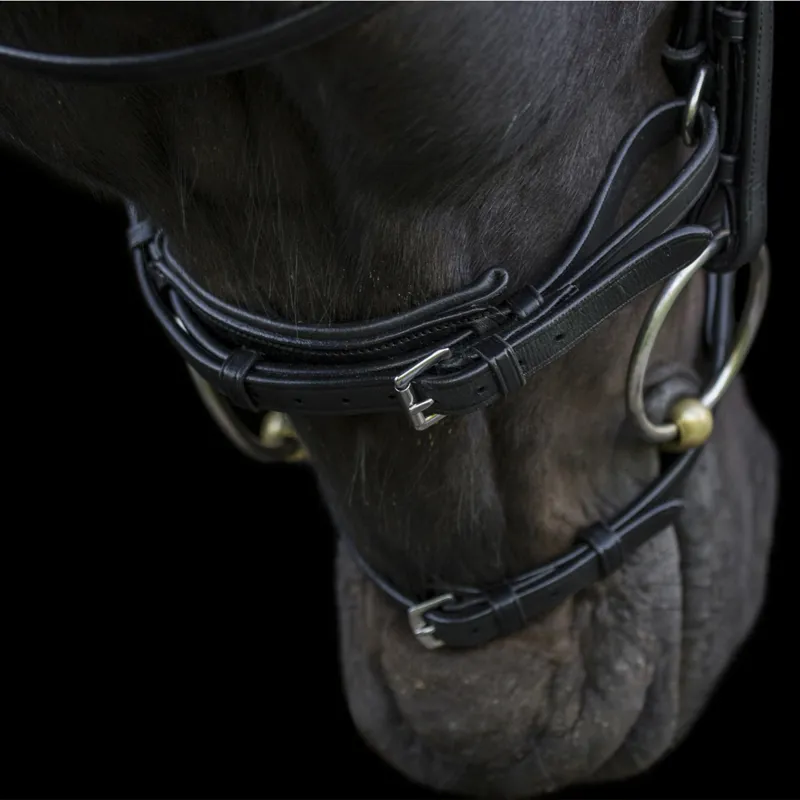 EcoRider Ecosoft Acclaim Bridle - Black-5