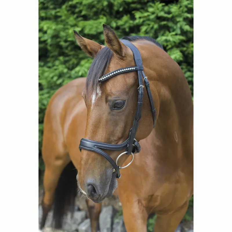 EcoRider Ecosoft Acclaim Bridle - Black-6