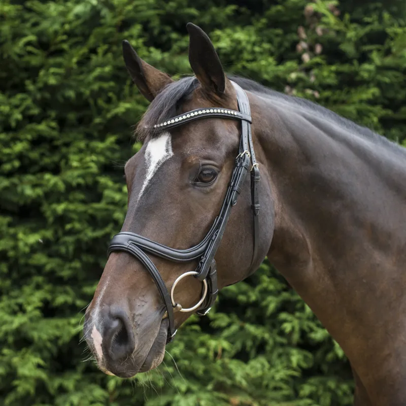 EcoRider Ecosoft Acclaim Bridle - Black-7