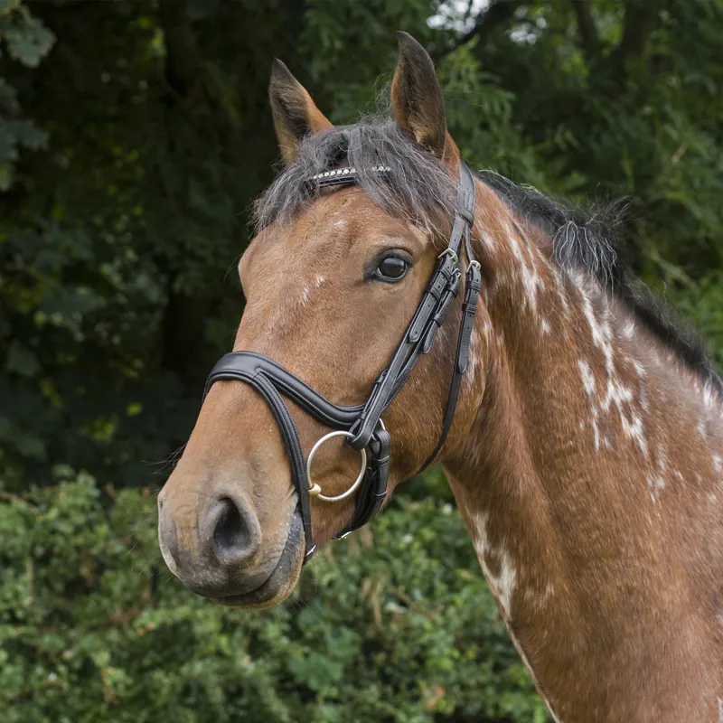 EcoRider Ecosoft Acclaim Bridle - Black-8