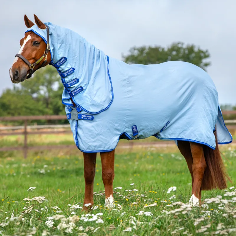 Horseware Amigo Pony Ripstop Hoody Fly Rug - Azure Blue/Strong Blue/Silver 