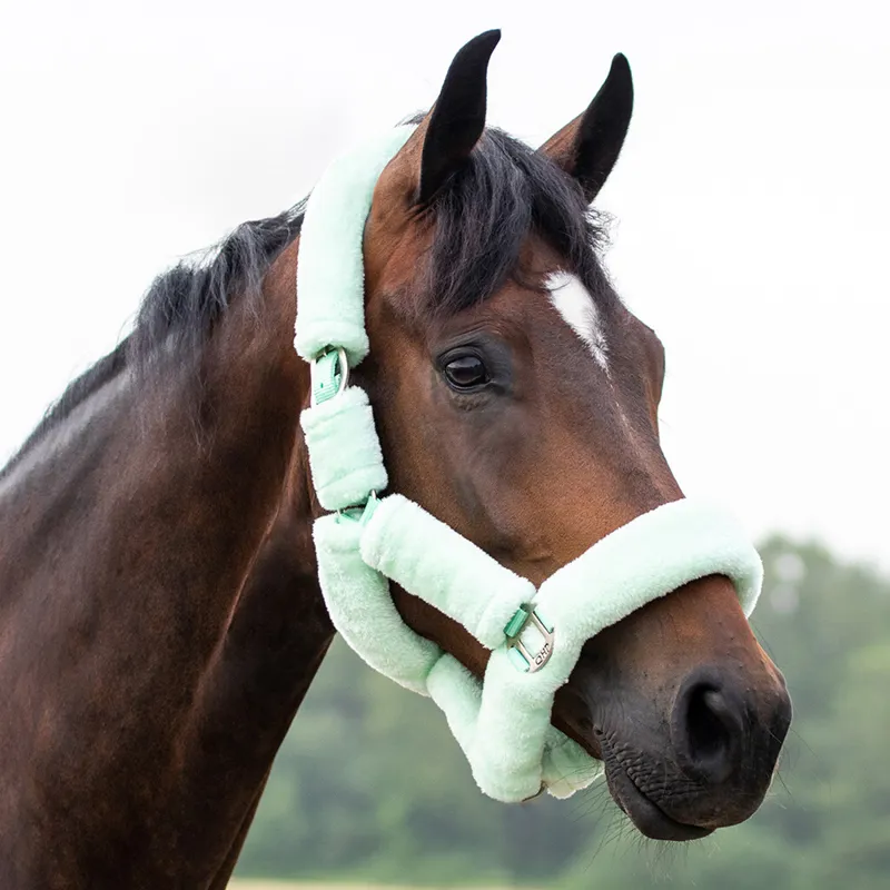 QHP Alaska Headcollar - Mint Green-1