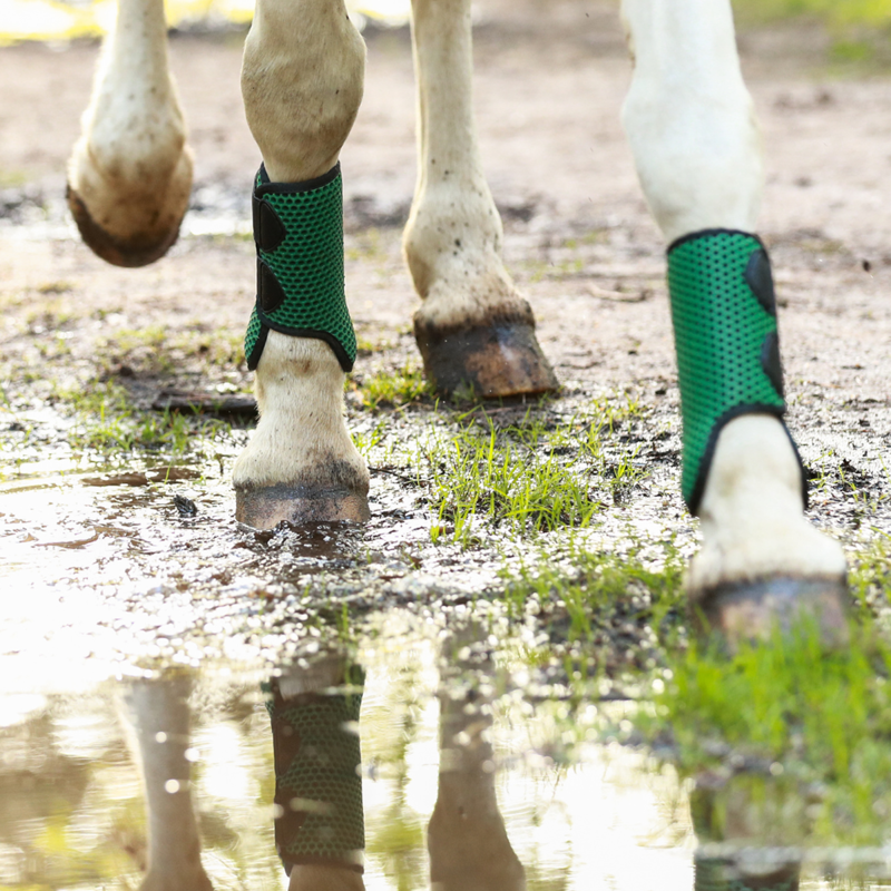 Equilibrium Tri-Zone All Sports Boots - Hunter Green-3