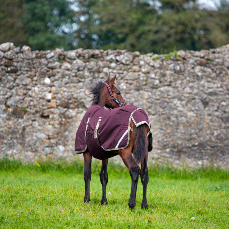 Horseware Amigo Foal Ripstop 200g Turnout Rug - Fig/Navy/Tan-1