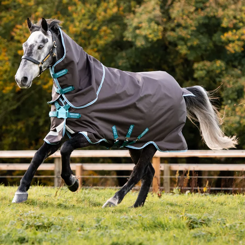 Horseware Amigo Bravo 12 Plus Disc Front 250g Turnout Rug - Excalibur/Aqua/Turquoise