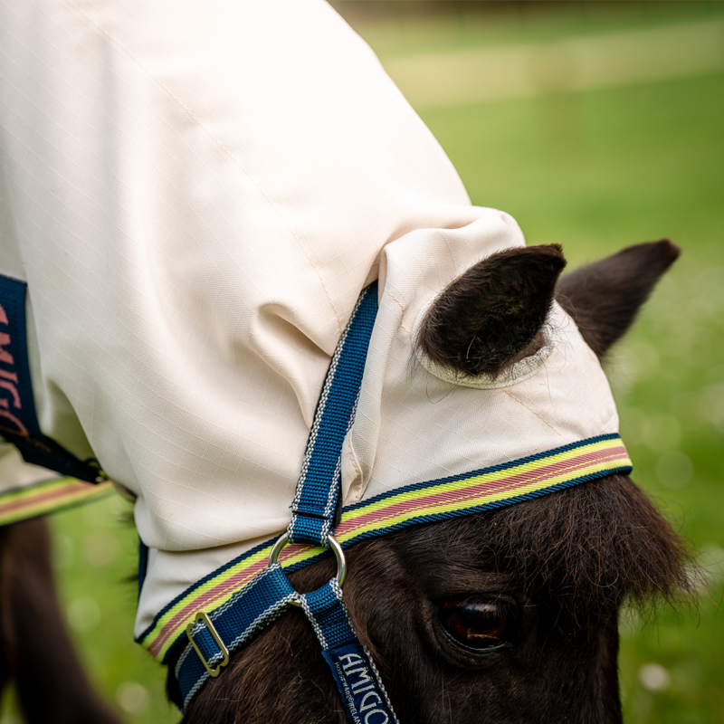 Horseware Amigo Petite Ripstop Hoody - Chalk/Navy/Rose-5