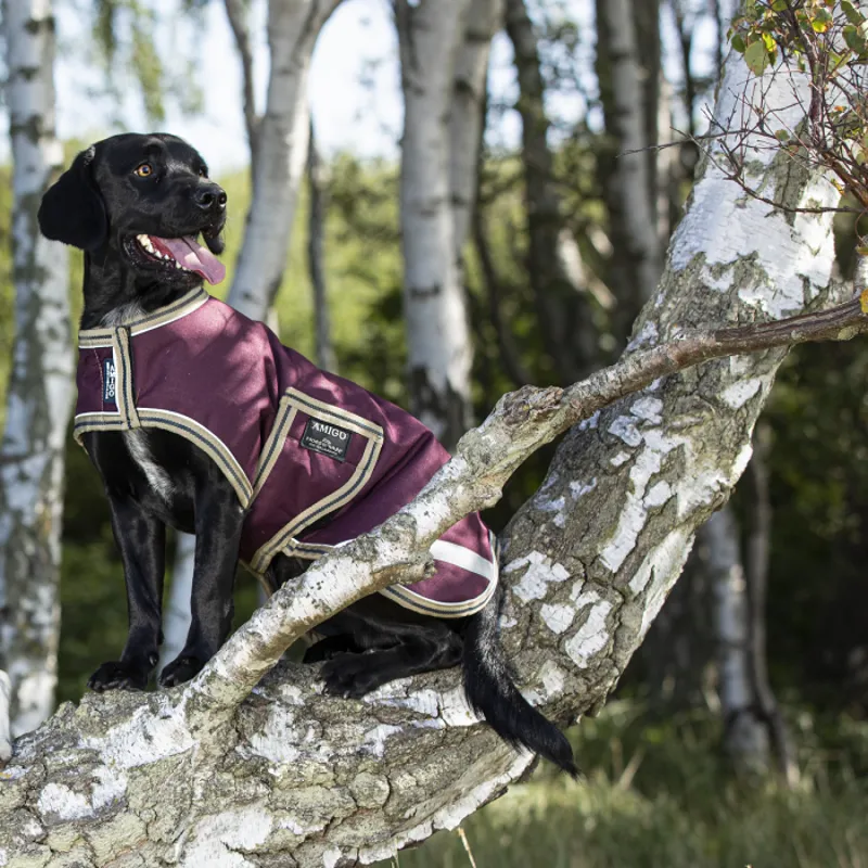 Horseware Amigo Ripstop Dog Rug Coat - Fig/Navy/Tan-1