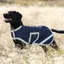 Horseware Amigo Ripstop Dog Rug Coat - Navy/Silver
