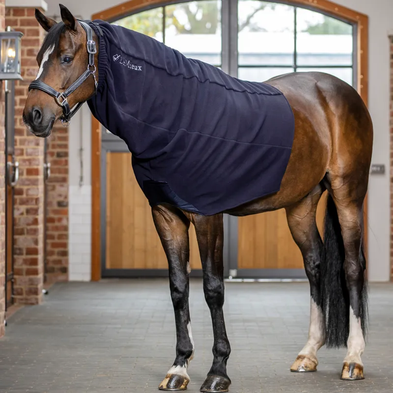 Lemieux Arika Fleece Hood - Navy-1