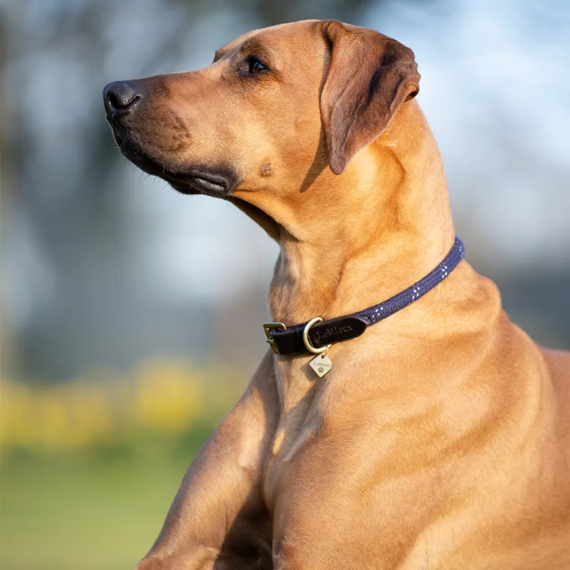 LeMieux Ascot Rope Collar - Navy-3