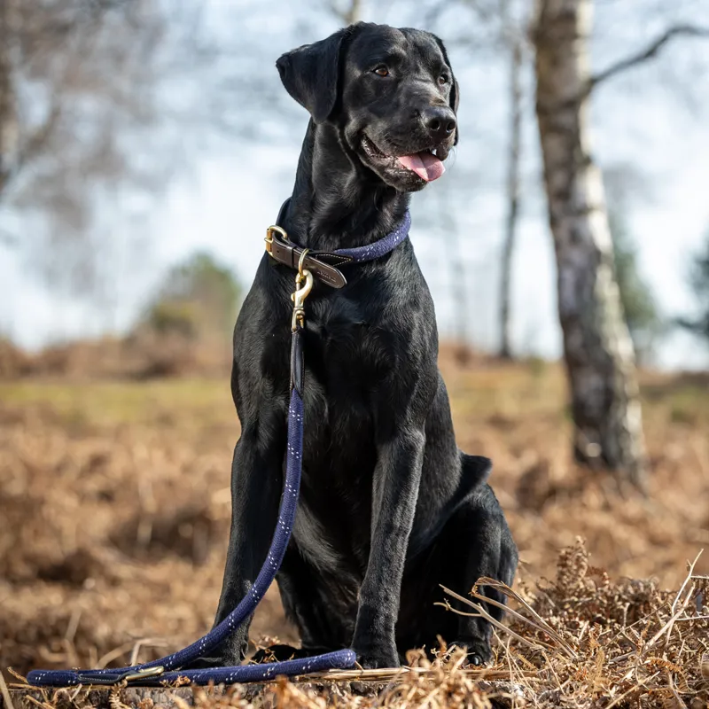 LeMieux Ascot Rope Dog Lead - Navy-2