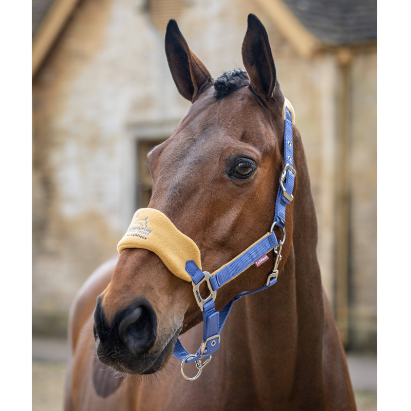LeMieux Badminton Vogue Headcollar and Leadrope - Blue - Limited Edition-1