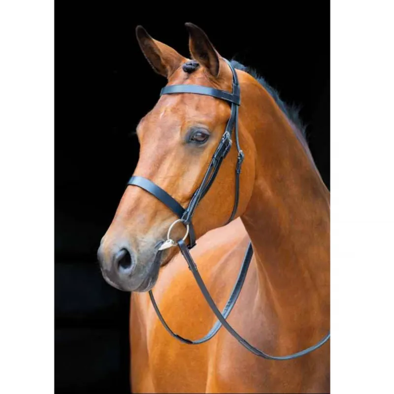 Shires Salisbury Berrington Bridle - Black