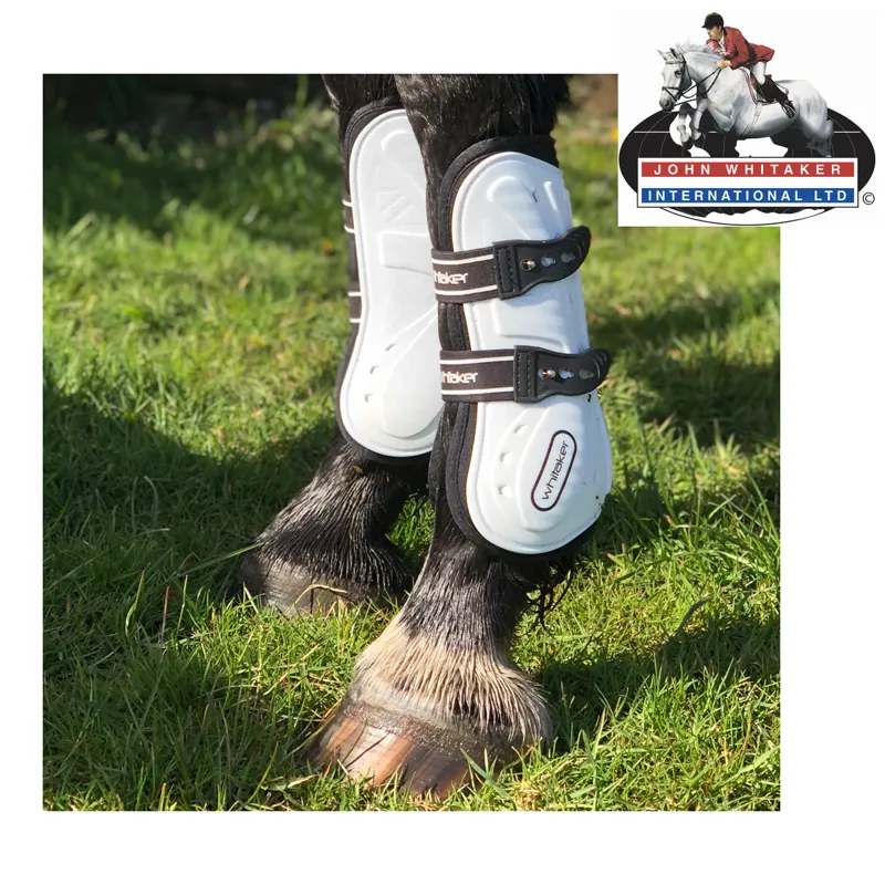 John Whitaker Bingley Tendon and Fetlock Boot Set - White