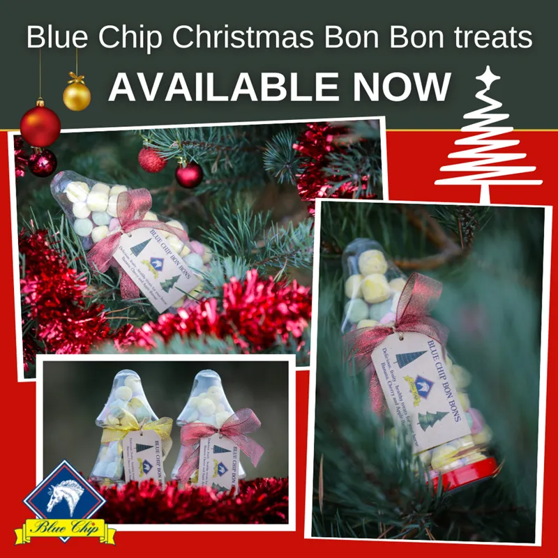 Blue Chip Bon Bon Horse Treats in Christmas Tree