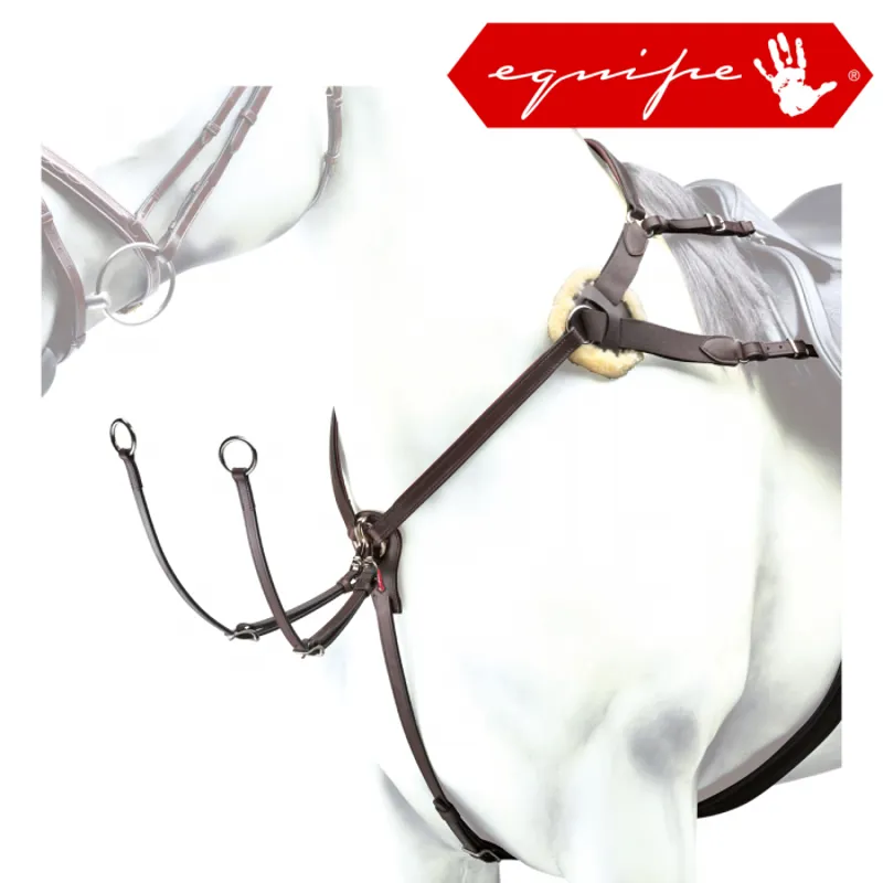 Equipe 5 Point Breastplate - Black/Brass