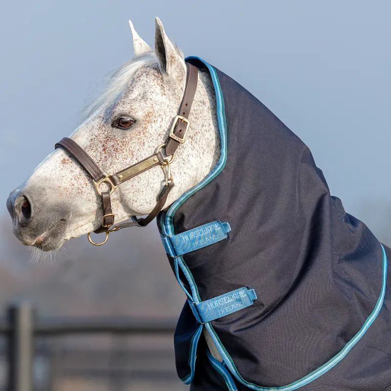 Horseware Amigo Bravo 12 Original 150g Turnout Hood - Navy/Turquoise/Aqua/Blue