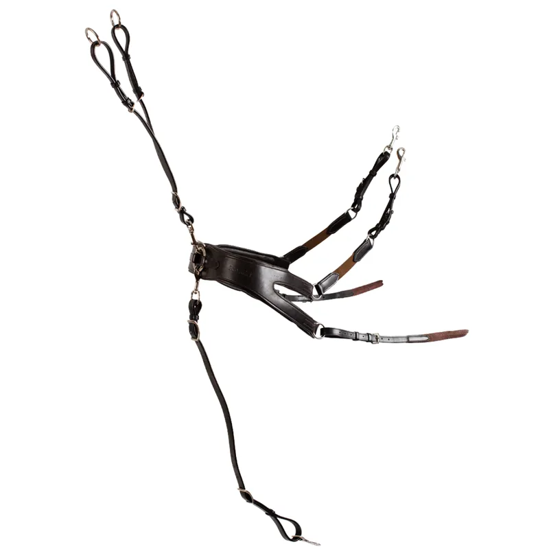 EcoRider Freedom Breastplate - Black-1