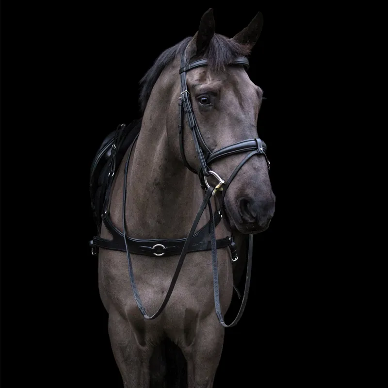 EcoRider Freedom Breastplate - Black