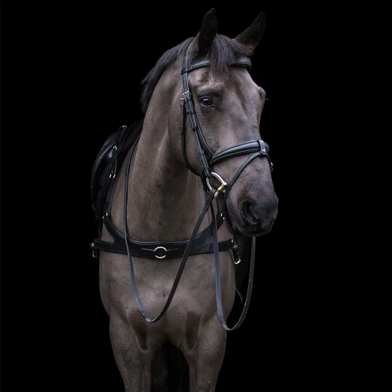 EcoRider Freedom Breastplate - Brown-2