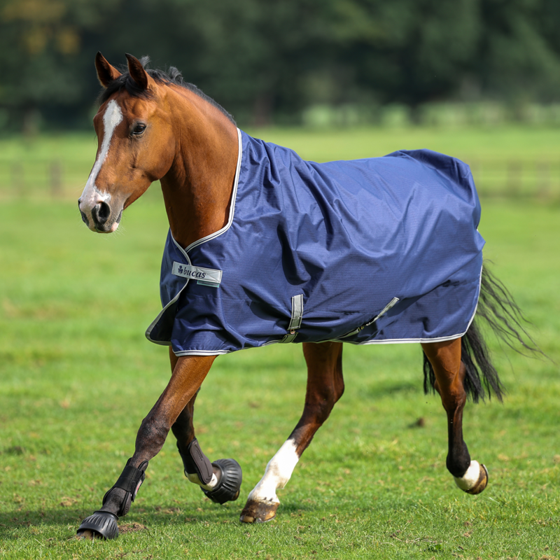 Bucas Freedom 150g High Neck Turnout Rug - Navy/Silver-1
