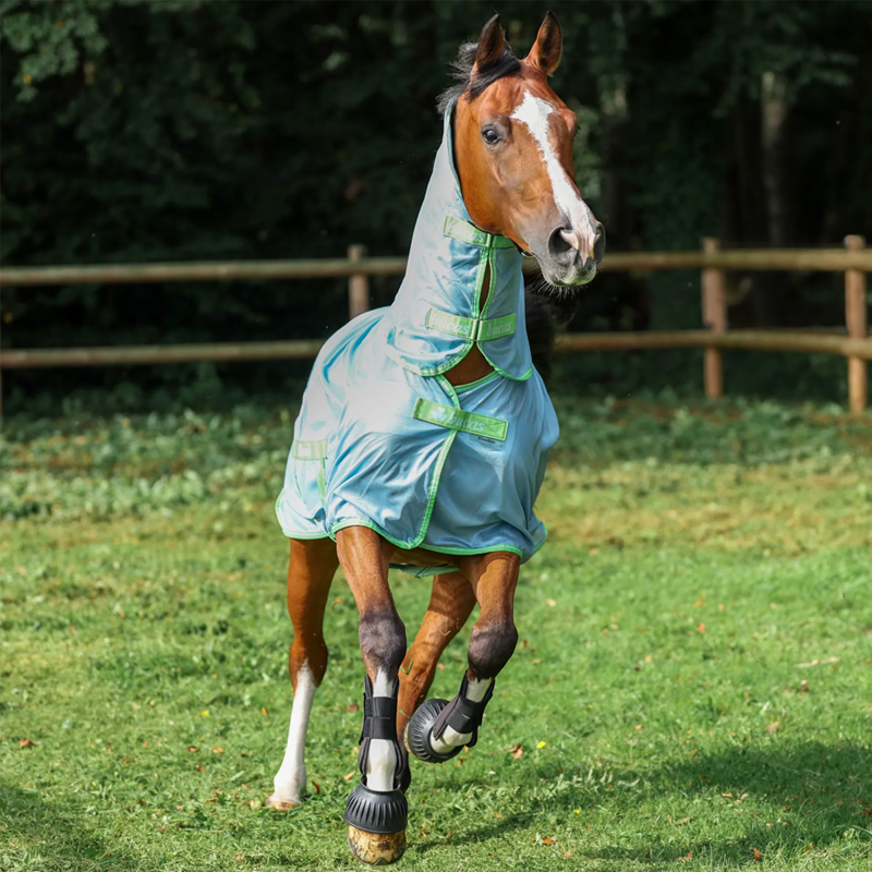 Bucas Freedom Fly Sheet - Cool Blue-1