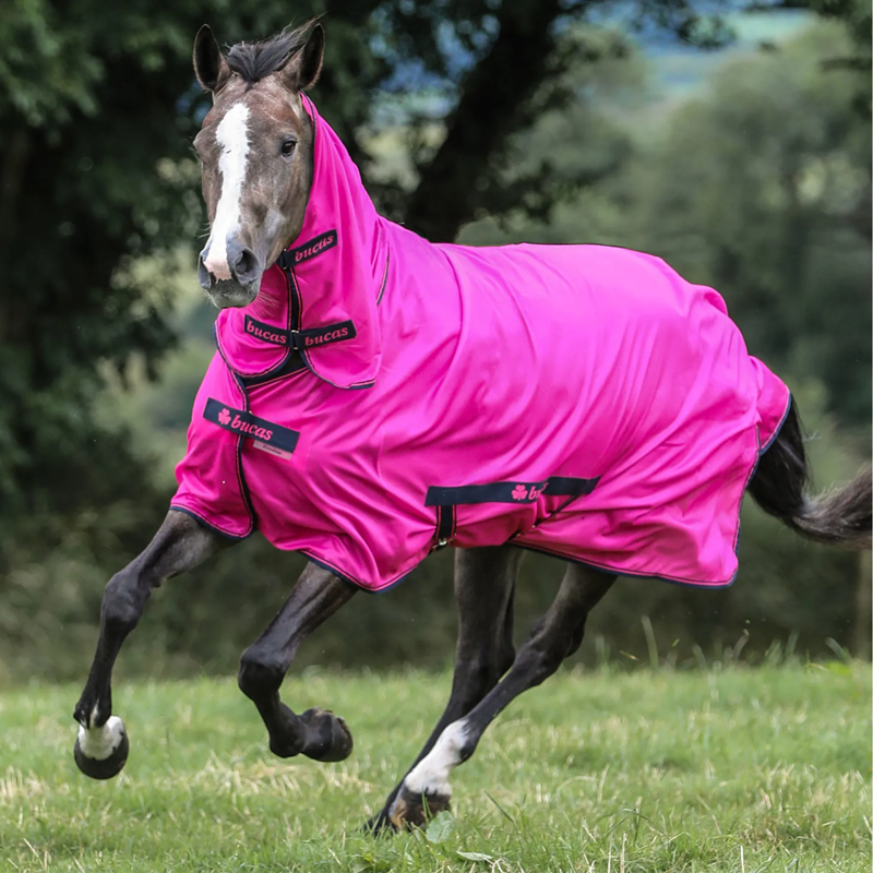 Bucas Freedom Combo Neck Fly Rug - Fuchsia-1