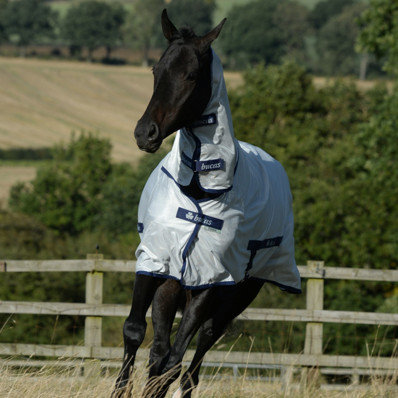 Bucas Freedom Fly Sheet - Silver-1