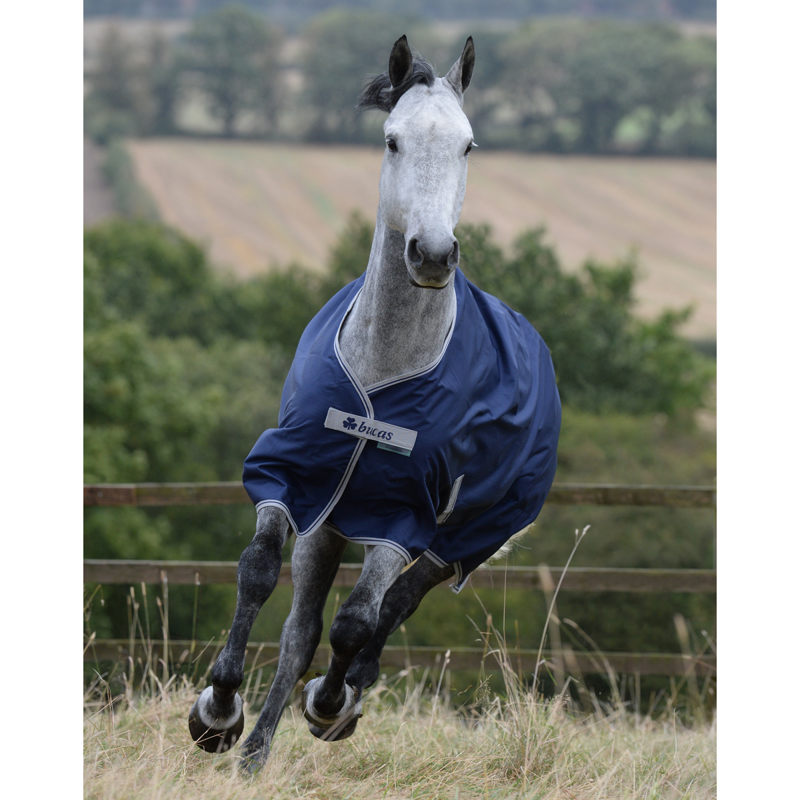 Bucas Freedom Light 0g Turnout Rug - Navy/Silver -2