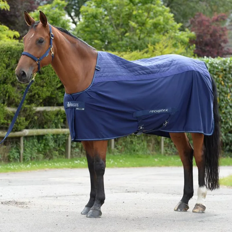 Bucas Therapy Light Rug - Navy/Silver-1