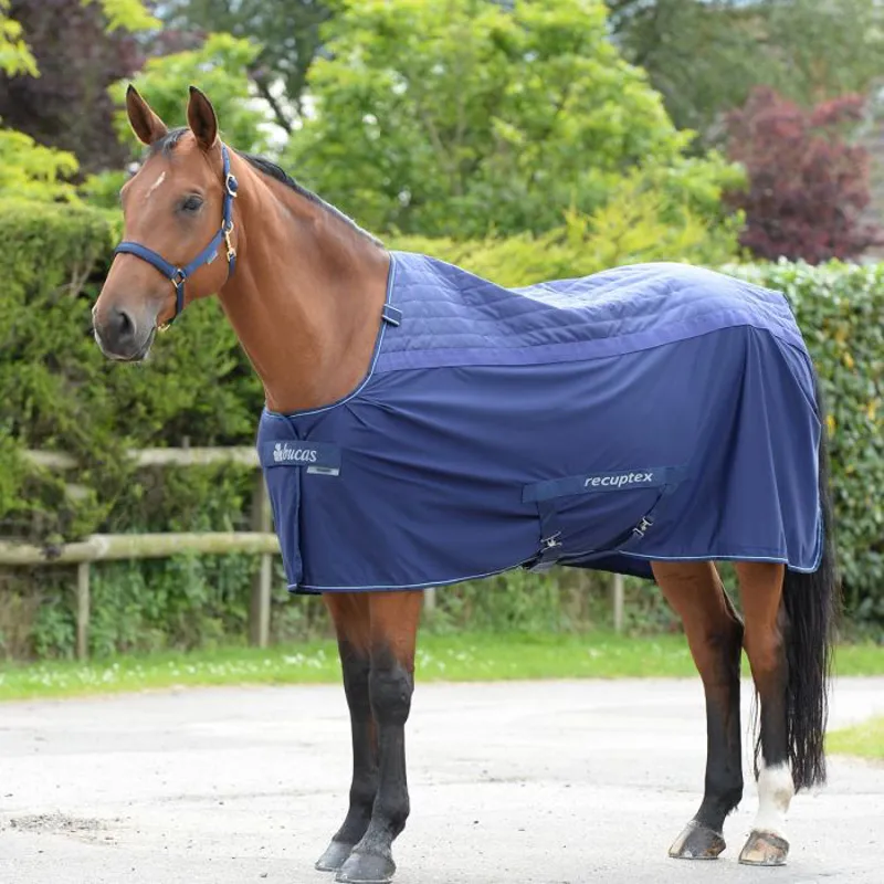 Bucas Therapy Light Rug - Navy/Silver