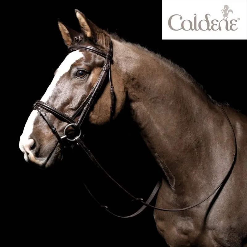 Caldene Flash Padded/Raised Bridle with Reins - Havana