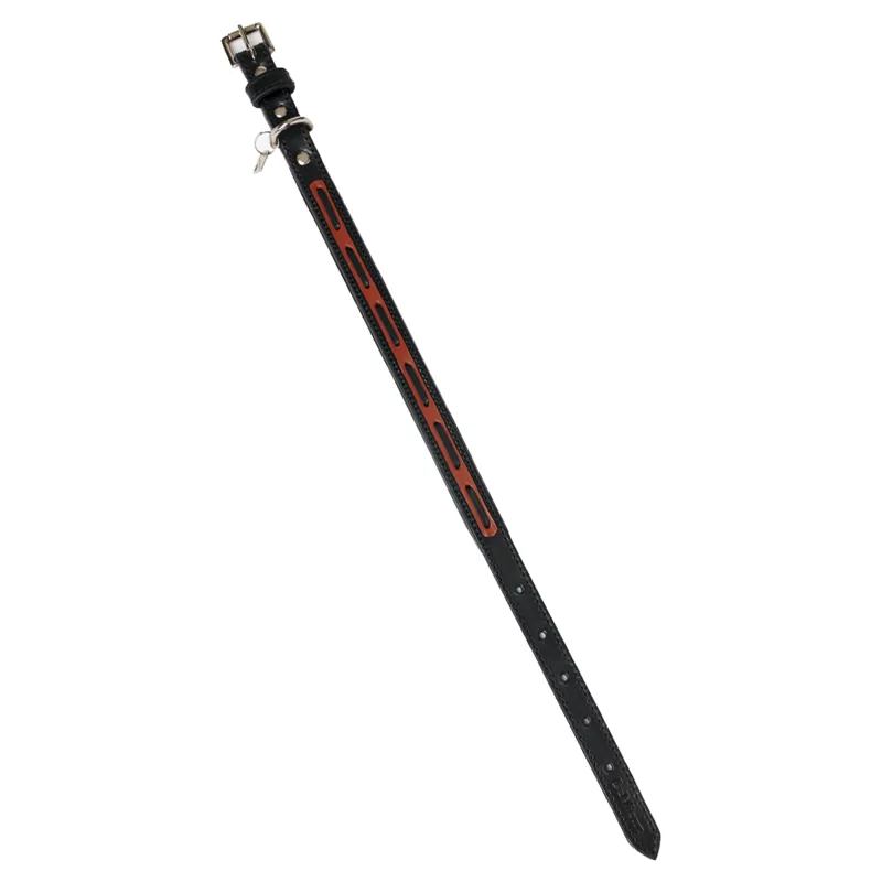 LeMieux Cambridge Collar - Black/Tan-2