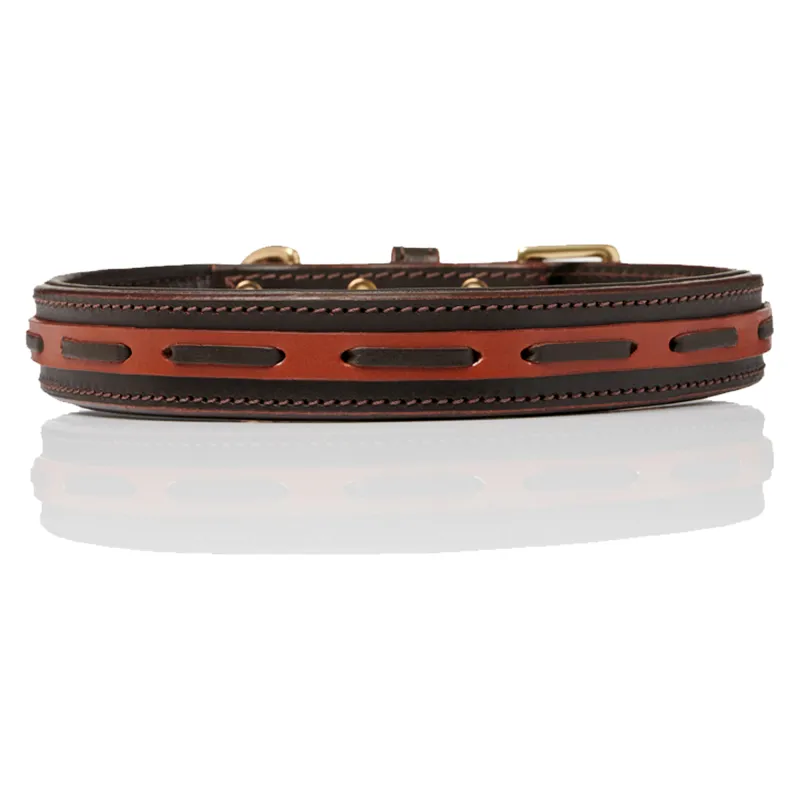 LeMieux Cambridge Dog Collar  - Mahogany/Tan-1