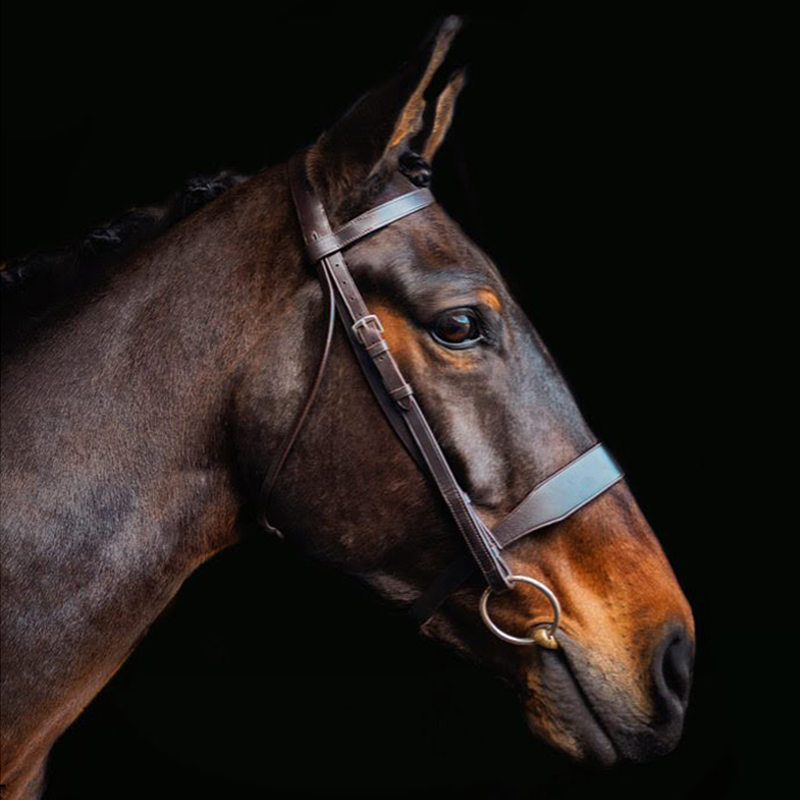 Cameo Hunt Bridle With 2 Browbands - Black-3