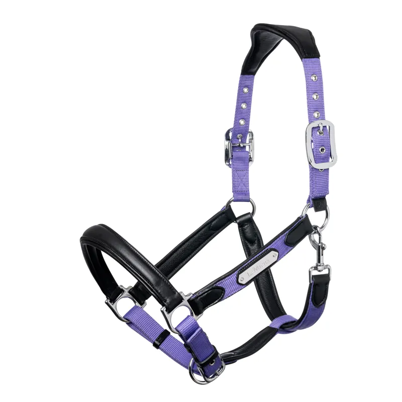 LeMieux Capella Headcollar - Bluebell