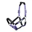 LeMieux Capella Headcollar - Bluebell