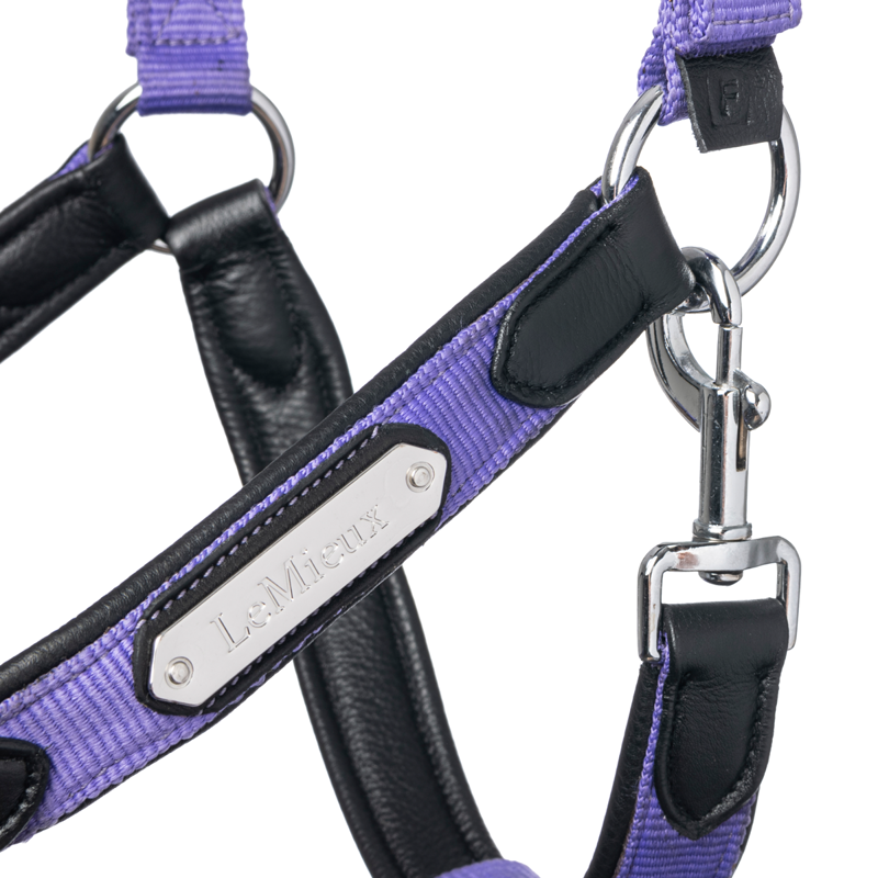 LeMieux Capella Headcollar - Bluebell-1