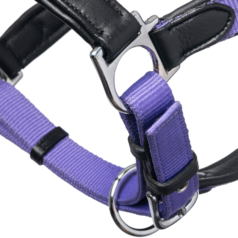 LeMieux Capella Headcollar - Bluebell-2