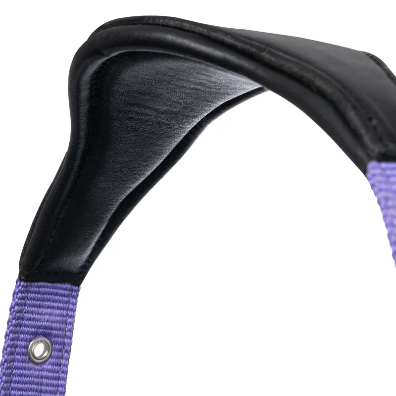 LeMieux Capella Headcollar - Bluebell-3