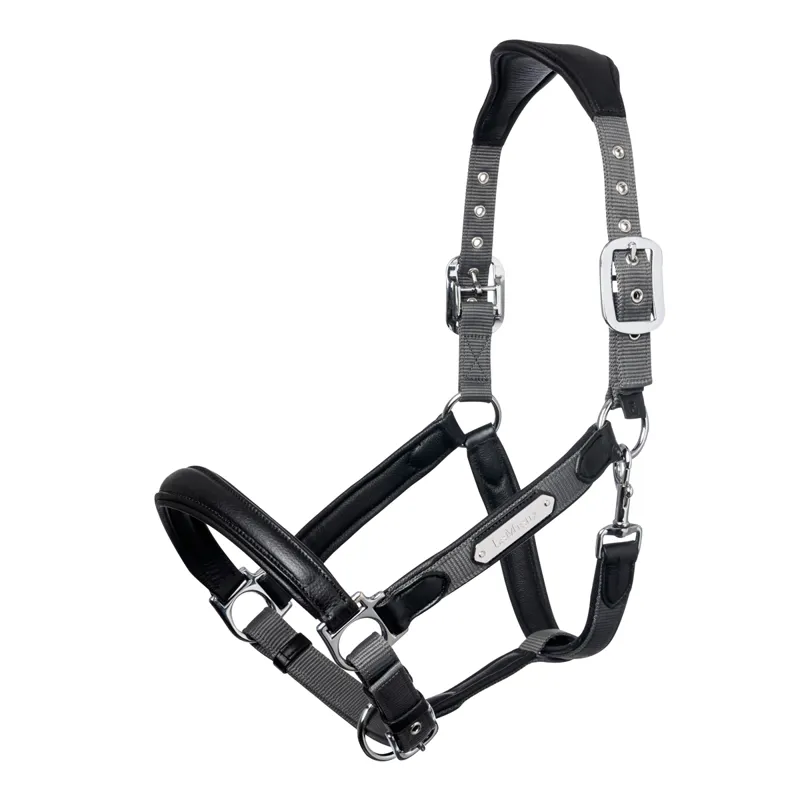 LeMieux Capella Headcollar - Grey
