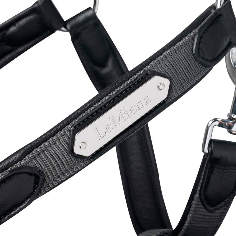 LeMieux Capella Headcollar - Grey-1