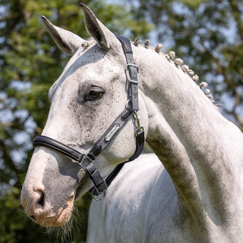 LeMieux Capella Headcollar - Grey-3