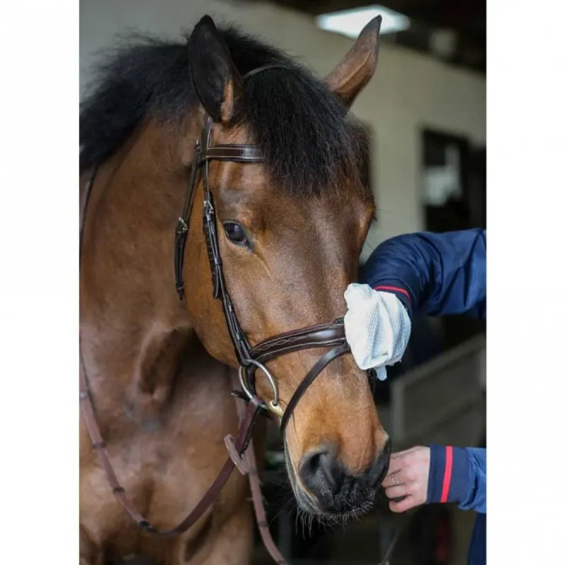 Carr Day and Martin Belvoir Tack Cleaner Mitt-1