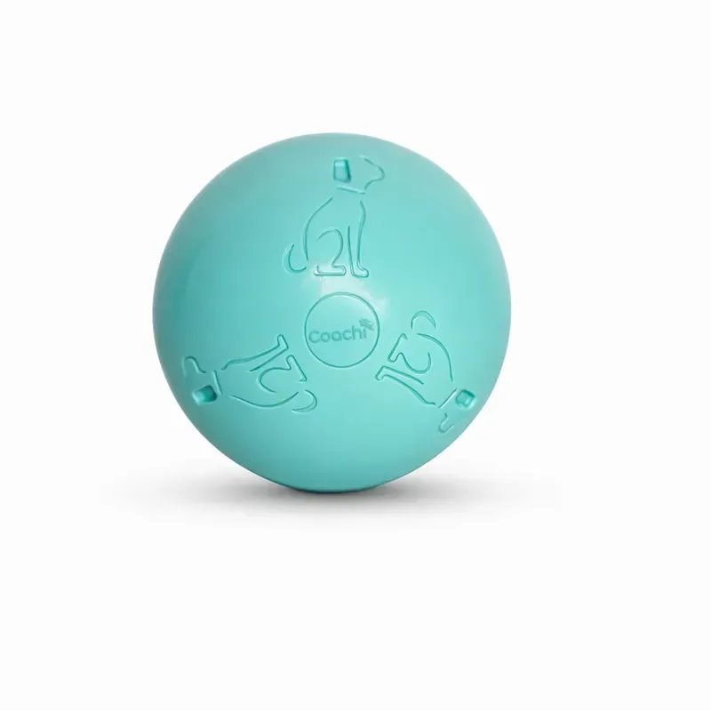 Coachi Puppy and Mini Boomi Ball