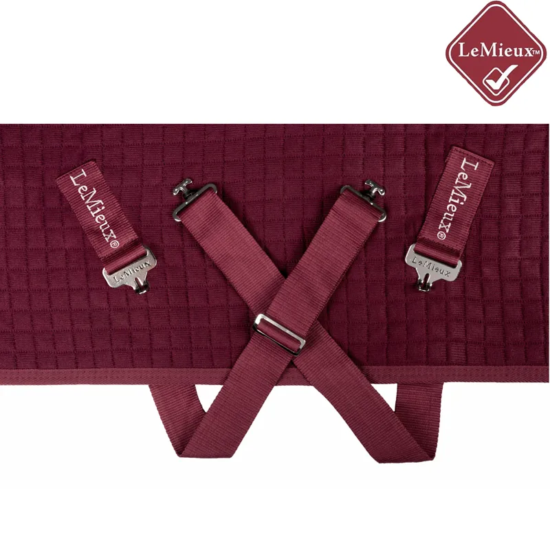 LeMieux Arika Clima-Tek Rug - Burgundy -4