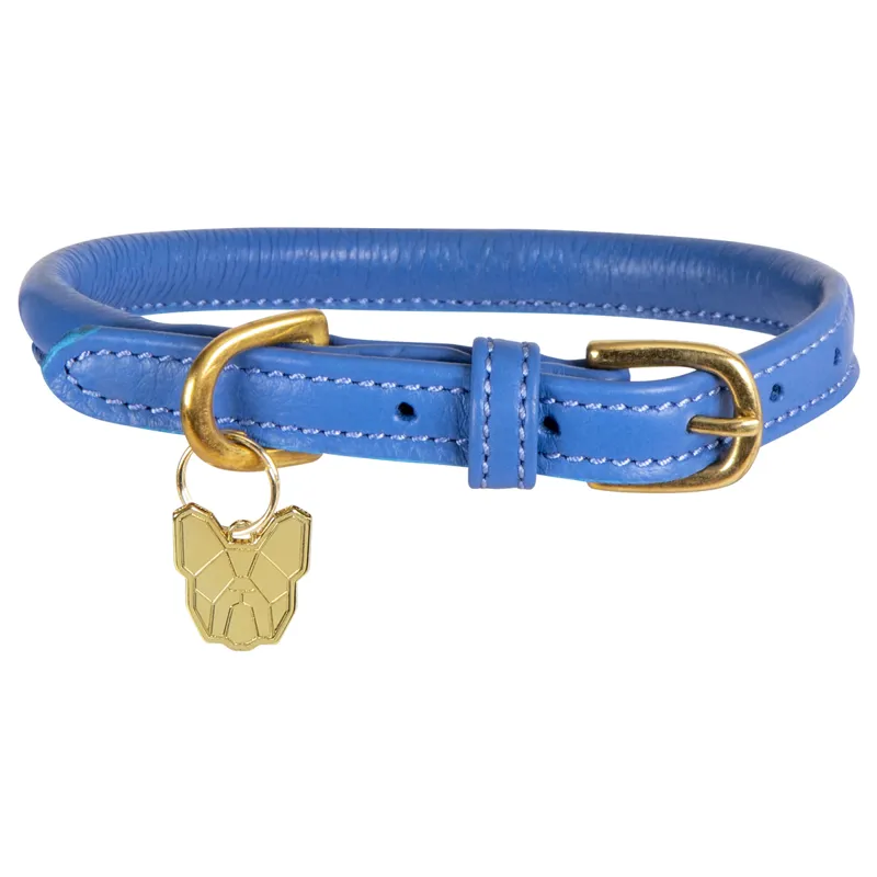 Shires Digby And Fox Rolled Leather Dog Collar - Royal