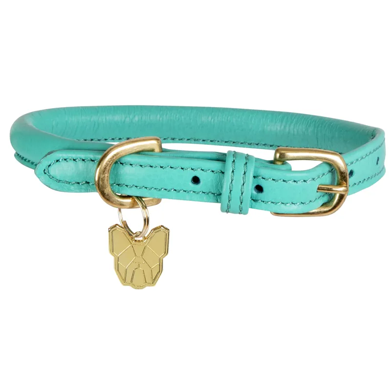 Shires Digby And Fox Rolled Leather Dog Collar - Teal