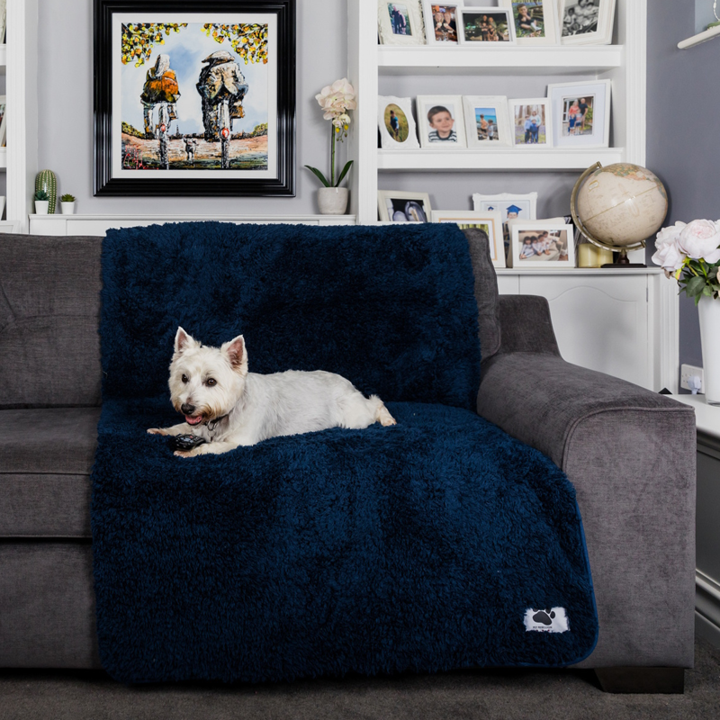 Pet Rebellion Comfy Cover-1